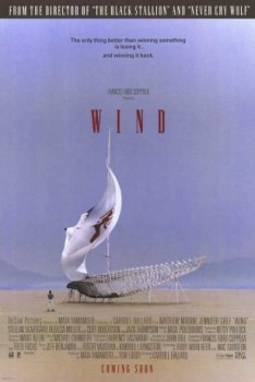 poster Wind