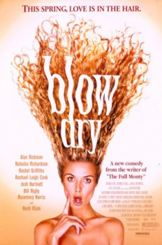 poster Blow Dry