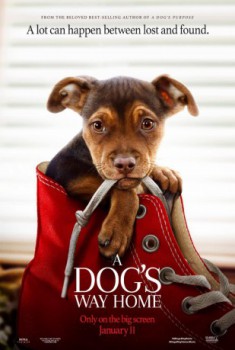 poster A Dog's Way Home  (2019)