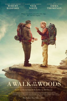 poster A Walk in the Woods  (2015)