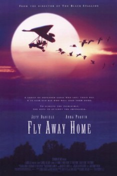poster Fly Away Home  (1996)