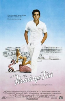 poster The Flamingo Kid
