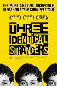 poster Three Identical Strangers  (2018)