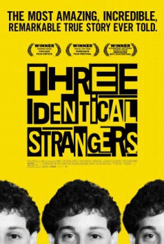 poster Three Identical Strangers