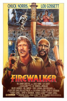 poster Firewalker  (1986)