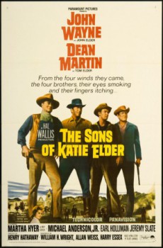 poster The Sons of Katie Elder  (1965)