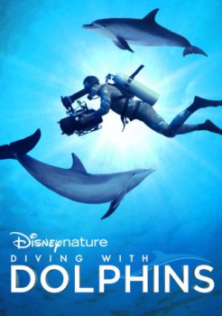 poster Diving with Dolphins