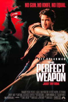 poster The Perfect Weapon