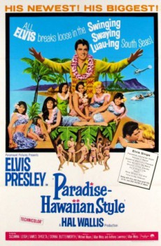 poster Paradise, Hawaiian Style  (1966)