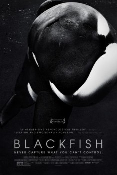 poster Blackfish  (2013)