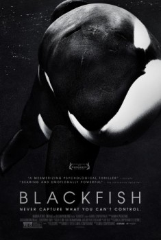 poster Blackfish