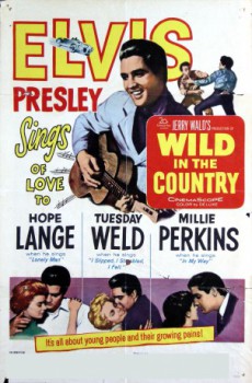 poster Wild in the Country  (1961)