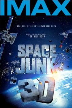 poster Space Junk 3D